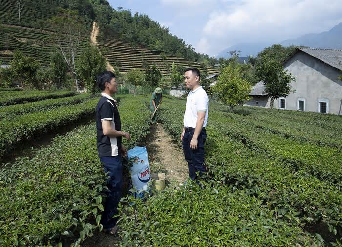 PVCFC tặng nhà tình nghĩa tại Lai Châu