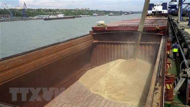 WFP cảnh báo hậu quả khi nguồn cung ngũ cốc từ Nga, Ukraine bị ngừng