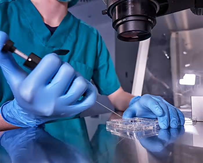 Bước ngoặt công nghệ hỗ trợ sinh sản
