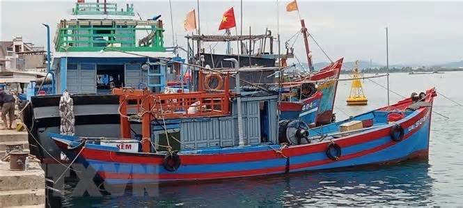 Quảng Nam: Sớm chấm dứt nuôi thủy sản trong khu neo đậu tàu cá