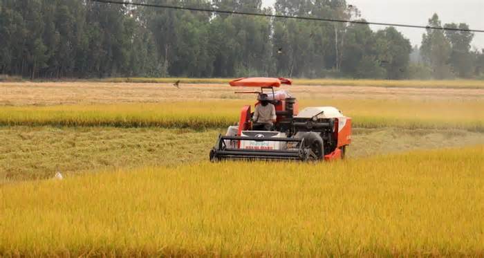 Đề án 1 triệu ha lúa gạo chất lượng cao: Không thể thiếu hợp tác công tư