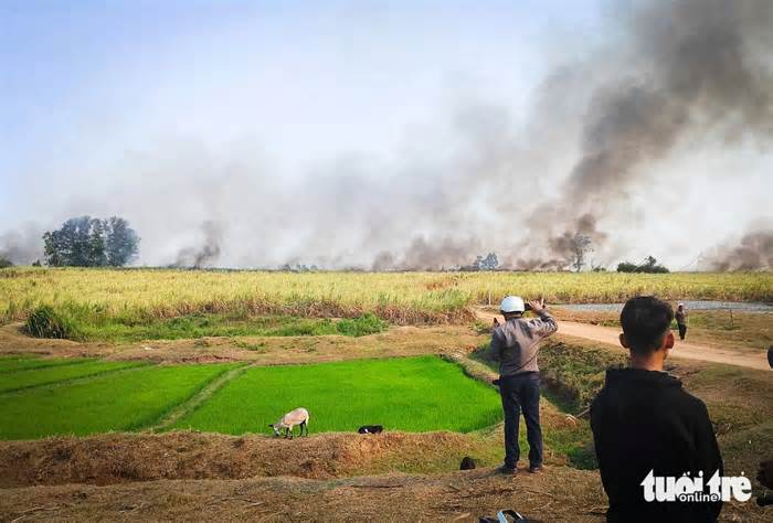 Gần 40ha mía sắp thu hoạch bị cháy rụi, khẩn trương giúp dân