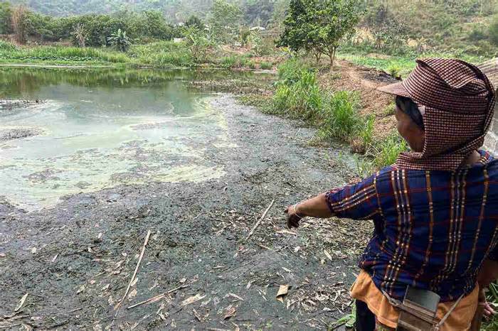 Kiểm tra toàn diện trại lợn xả thải gây ô nhiễm, làm chết cá hàng loạt