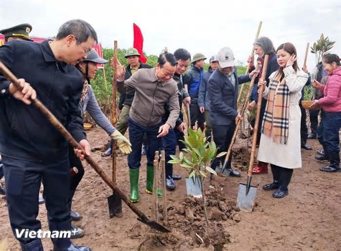 Bộ trưởng Đỗ Đức Duy: Nhân rộng 'lá phổi' ven biển, tạo sinh kế bền vững cho người dân