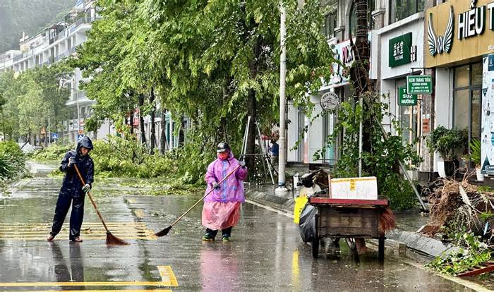 Bão số 2 đổ bộ Quảng Ninh: Hàng loạt cây xanh bị quật đổ, nhà dân sạt lở, ngập lụt