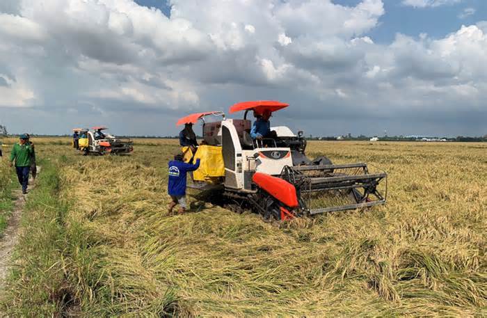 'Nói nông dân trồng lúa lời 100% thì dễ bị bà con cười'