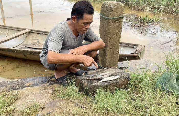 Cá chết hàng loạt trên sông Sa Lung có thể do bị ngộp nước ngọt
