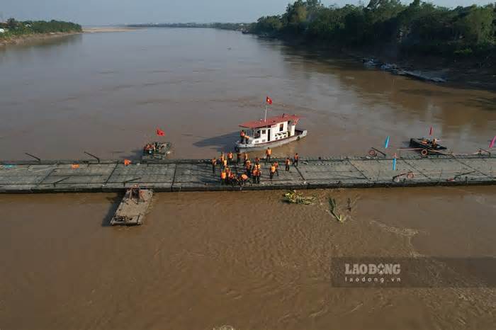 Lại cắt cầu phao Phong Châu do nước sông Hồng lên cao