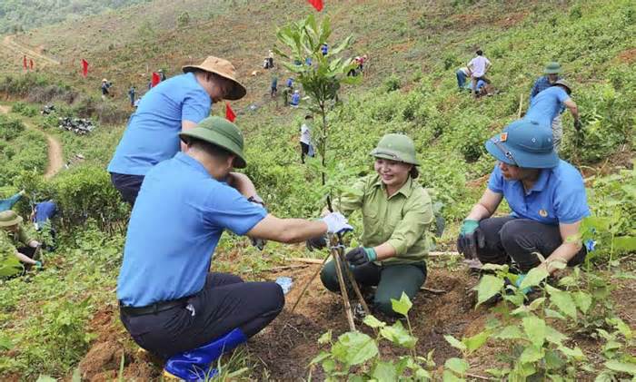 Liên đoàn Lao động tỉnh Điện Biên phát động Tết trồng cây nhớ ơn Bác Hồ