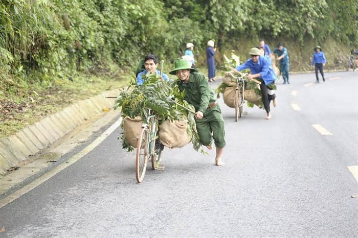 Tuổi trẻ Yên Bái thi tải gạo qua Đèo Lũng Lô