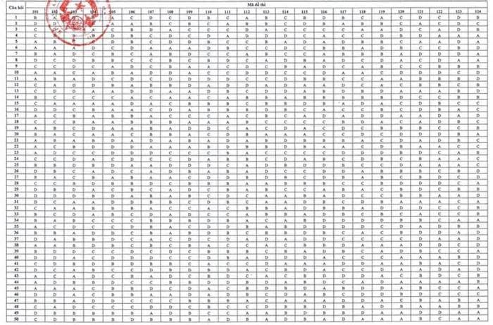 Đáp án chính thức môn Toán thi tốt nghiệp THPT năm 2024