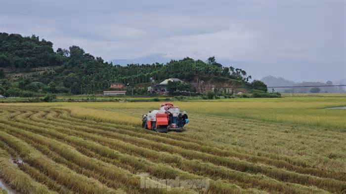 Một chủ tịch xã ở Đắk Lắk bị phê bình do để 'khủng hoảng thông tin' trên mạng