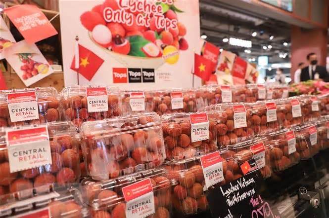 Nỗ lực quảng bá trái cây Việt Nam tại thị trường Thái Lan