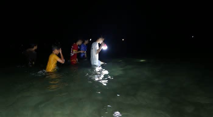 Ngư dân Quảng Nam được 'lộc biển' do lượng lớn bạch tuộc dạt vào bờ