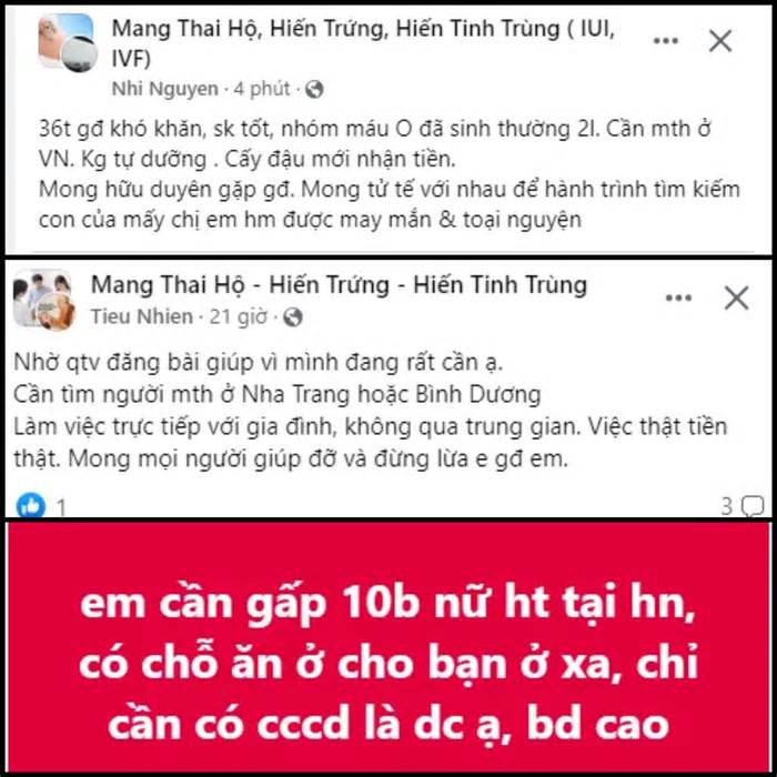 'Đối tác' vụ nhận đẻ thuê bằng hình thức quan hệ trực tiếp đề nghị tiếp tục hợp đồng