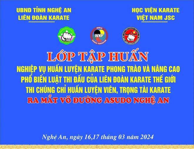 Yêu cầu xem xét tư cách Chủ tịch Liên đoàn Karate Nghệ An