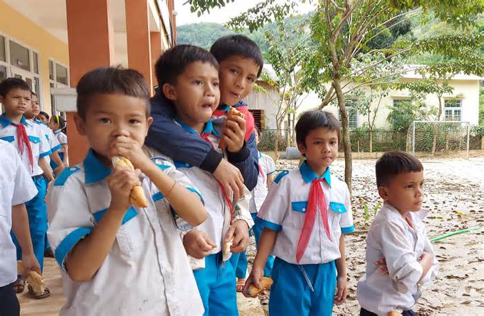 Chậm trễ triển khai, học sinh miền núi Quảng Nam chờ hết năm học vẫn không được uống sữa học đường