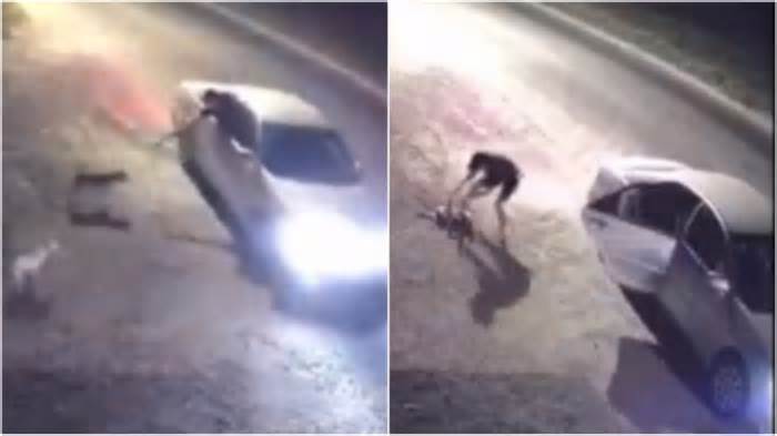 Đi xe hơi bắn điện trộm chó trong 16 giây ở Củ Chi