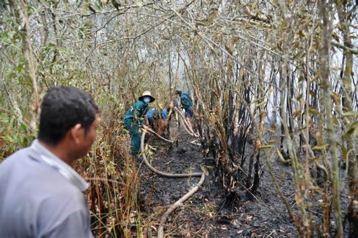 Liên tiếp 2 vụ cháy rừng ở huyện biên giới Kiên Giang