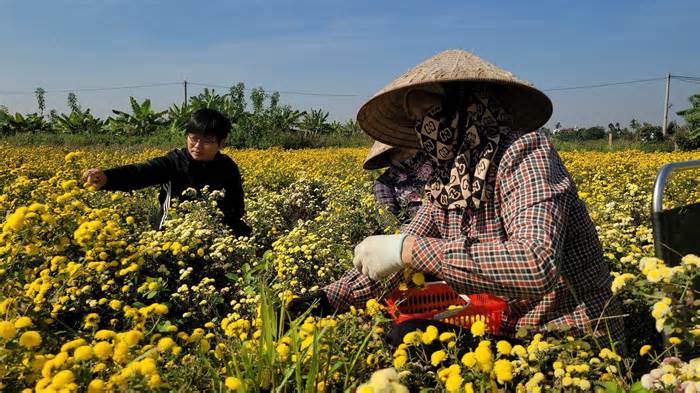 Biến đất hoang thành nông trại hữu cơ