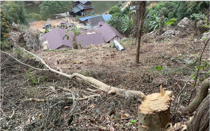 Chặt phá gần 3.000m2 rừng Quốc gia Ba Bể, một đối tượng bị khởi tố