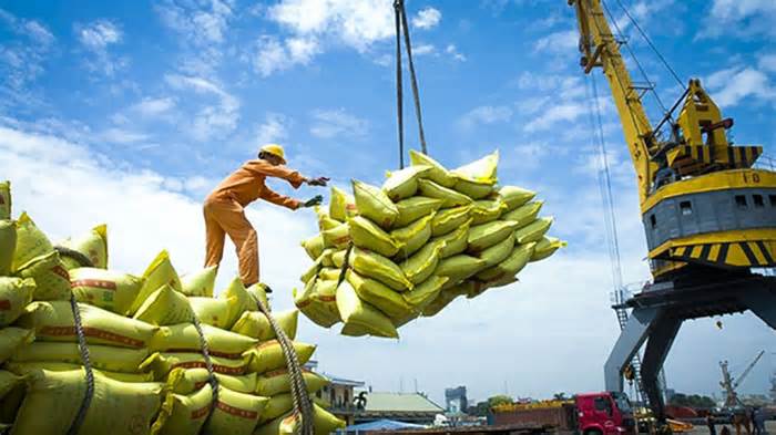 Chính phủ tiếp tục xuất cấp hơn 1.444 tấn gạo cho 5 tỉnh dịp Tết