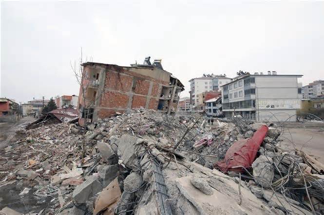 Động đất ở Thổ Nhĩ Kỳ và Syria: Ai Cập tiếp tục gửi thêm hàng viện trợ