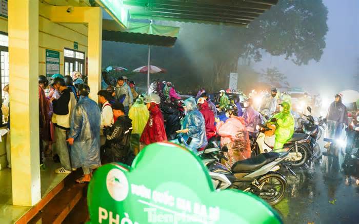 Bạn trẻ vượt 100 km lên Ba Vì chụp hoa dã quỳ trong mưa rét