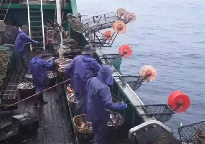 Thảm án trên tàu cá 33 thuyền viên, chỉ 11 người trở về