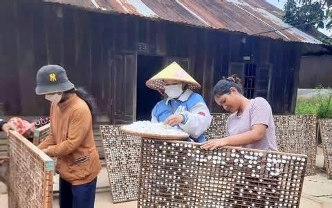 Tiếp sức cho nông dân Đam Rông phát triển nghề trồng dâu nuôi tằm