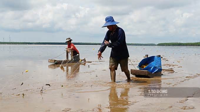 Lướt ván trên bùn mưu sinh ở bãi bồi ven biển Sóc Trăng