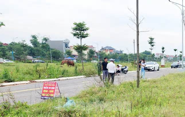 Huyện ngoại thành Hà Nội liên tục đấu giá đất, chuyên gia cảnh báo rủi ro