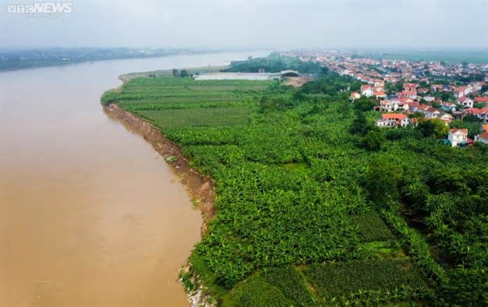 Phú Thọ: Sạt lở nghiêm trọng bờ sông Thao, hơn 1.000 hộ dân bị ảnh hưởng