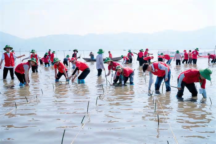 Tình nguyện viên thu gom 10 tấn rác trên biển