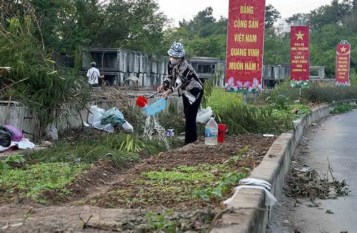 Trồng rau trên đường trăm tỉ làm 4 năm chưa xong ở Hà Nội