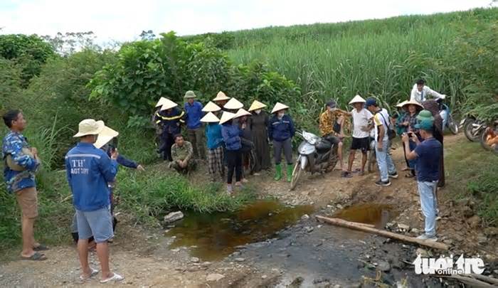 Trại heo gây ô nhiễm suối: Nhiều chỉ số nước thải vượt ngưỡng an toàn