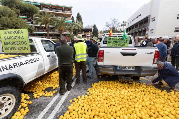 Tây Ban Nha vứt 400.000 tấn chanh vì ‘ế ẩm’