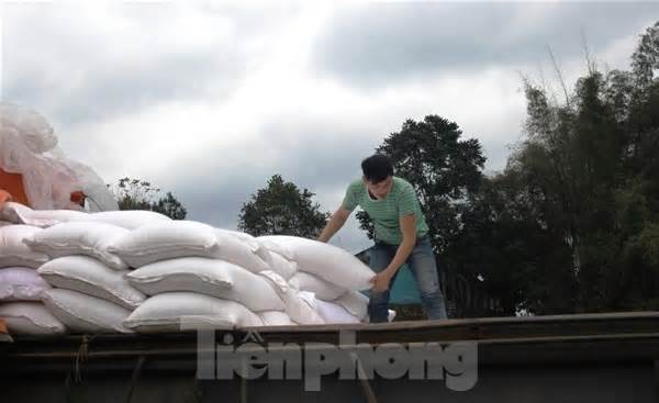Cao Bằng phân bổ trên 845 tấn gạo cho hộ nghèo, cận nghèo