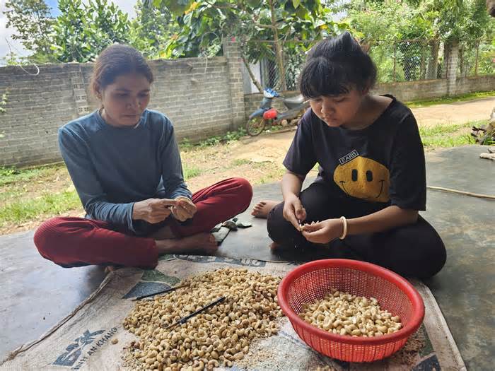 Ngổn ngang nỗi lo đầu năm học: 'Ma trận' những khoản thu