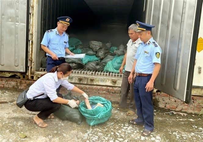Lạng Sơn: Thu giữ 1,5 tấn móng giò lợn chảy nước, bốc mùi hôi thối