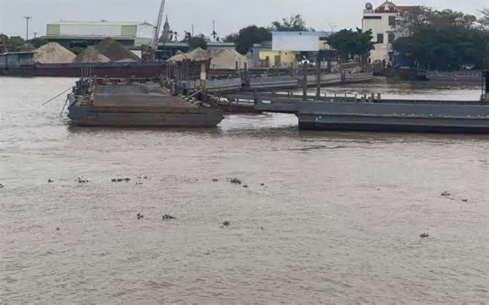 Nam Định: Tàu hàng đâm trúng cầu phao, 1 người rơi xuống sông mất tích