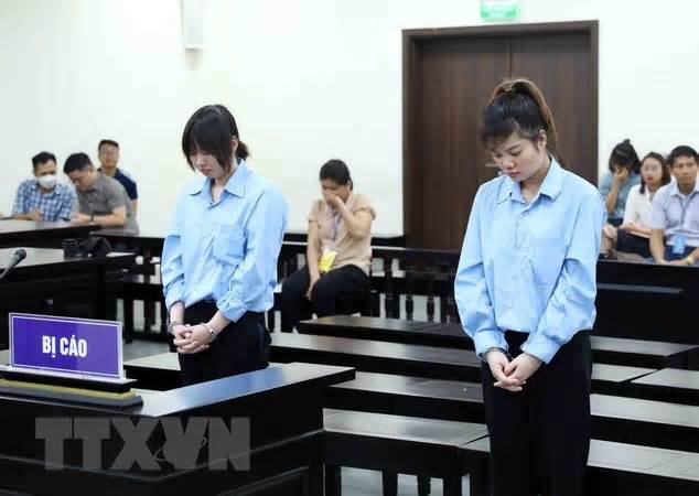 Hà Nội: Phạt tù 2 bảo mẫu bạo hành bé trai 17 tháng tuổi tử vong