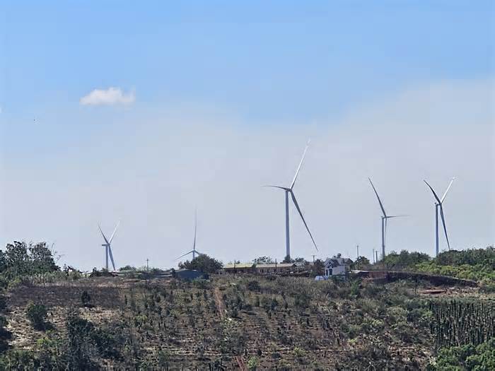 Đắk Nông cung cấp hồ sơ các dự án điện gió cho Uỷ ban Kiểm tra Trung ương