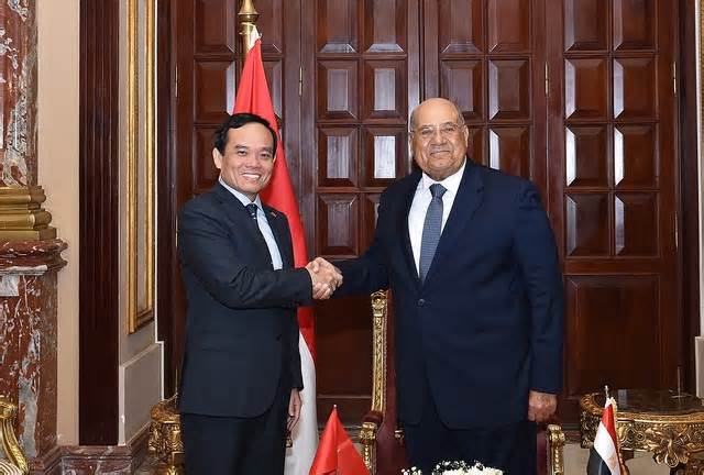 Ai Cập muốn thúc đẩy quan hệ truyền thống hữu nghị với Việt Nam
