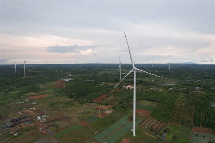 Đắk Nông xin 'gỡ tội' cho các dự án điện gió
