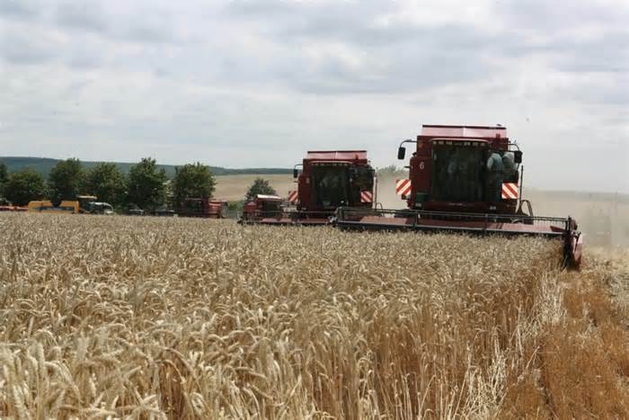 Ukraina trả đũa lệnh cấm ngũ cốc của quốc gia láng giềng