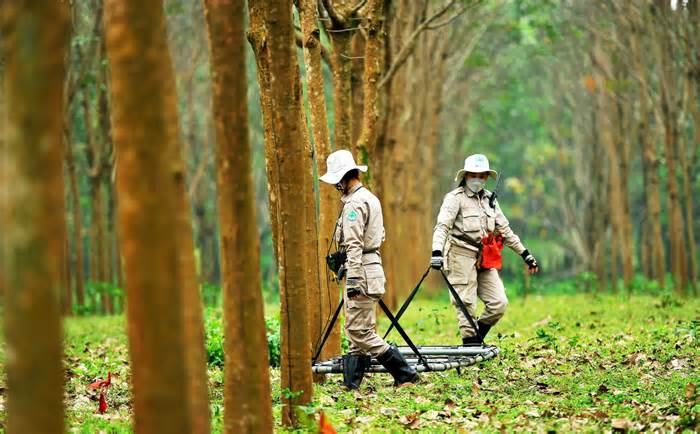 Biệt đội nữ hàn gắn những 'vết sẹo' chiến tranh ở vùng 'đất lửa'