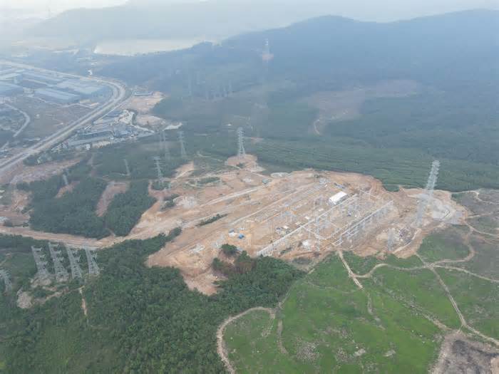 Cận cảnh 2,61 ha rừng tự nhiên bị san ủi trái phép ở Thanh Hóa
