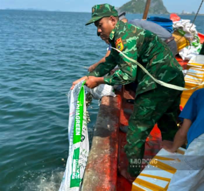 Biên phòng tịch thu 600kg hải sản bị cấm khai thác thả về biển Kiên Giang
