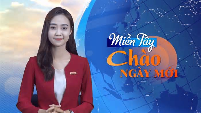 Miền Tây Chào Ngày Mới: Nông dân miền Tây ngậm ngùi bỏ lúa không thu hoạch